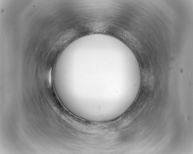 X0000088220028200705151424