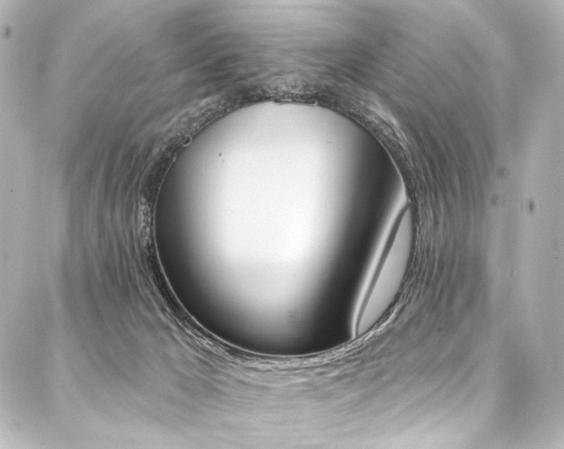 X0000088220029200705151424