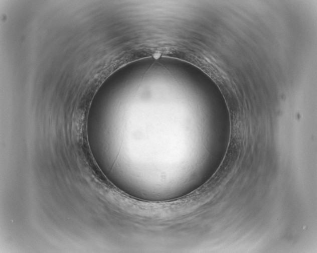 X0000088220030200705151424