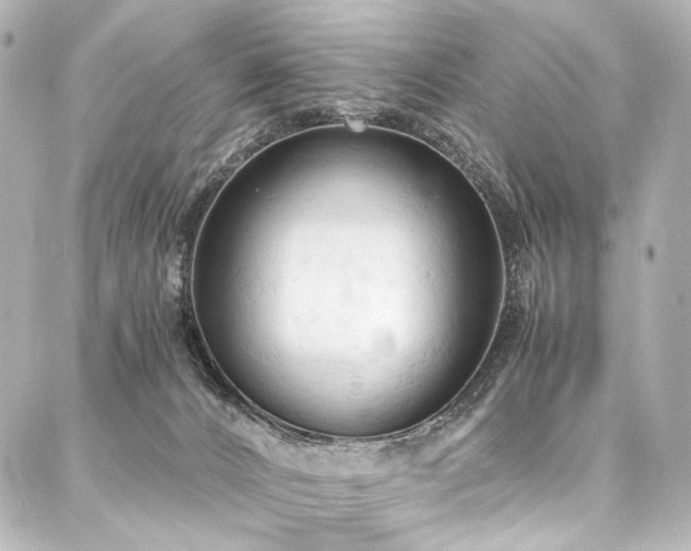 X0000088220032200705151424