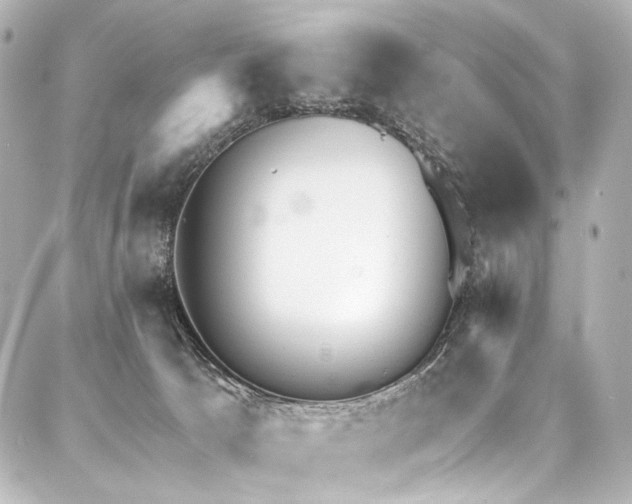 X0000088220033200705151424