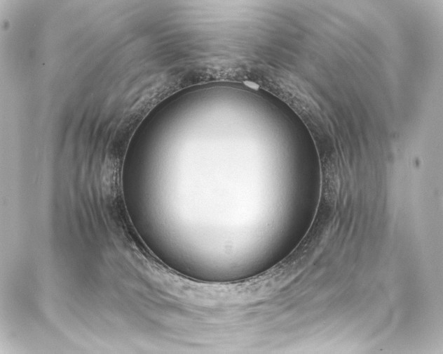 X0000088220034200705151424