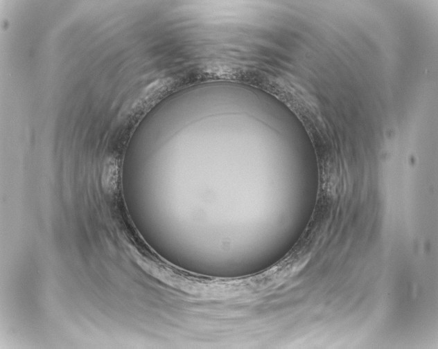 X0000088220036200705151424