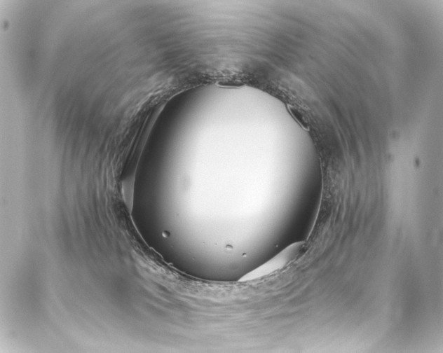 X0000088220037200705151424