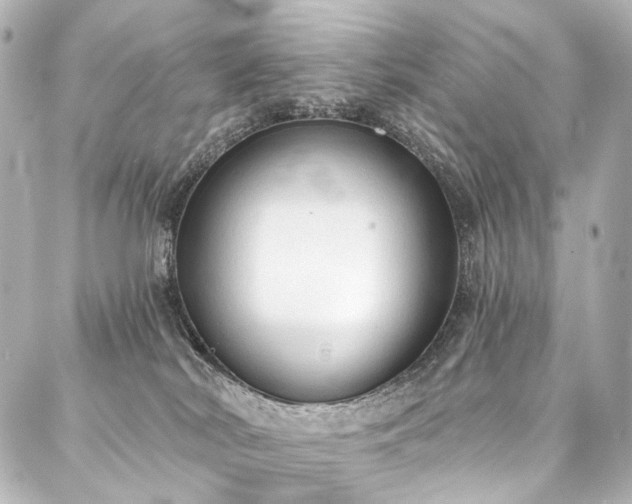 X0000088220038200705151424