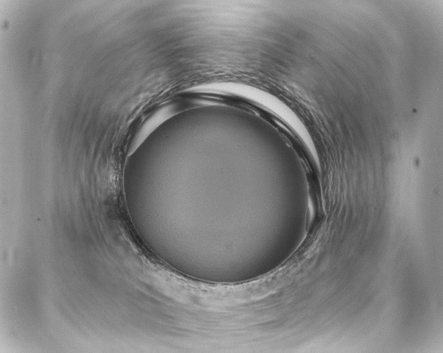 X0000088220039200705151424