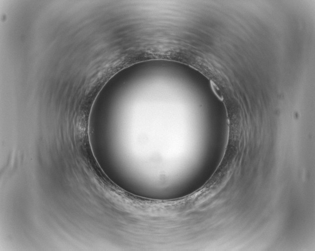 X0000088220040200705151424