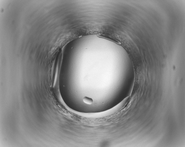 X0000088220041200705151424