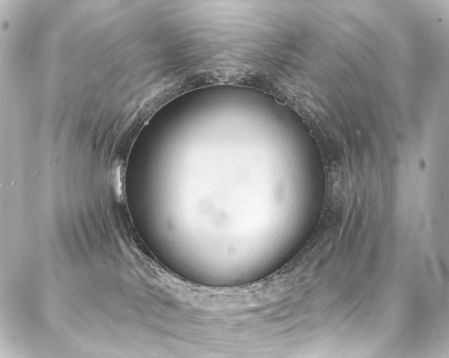 X0000088220042200705151424