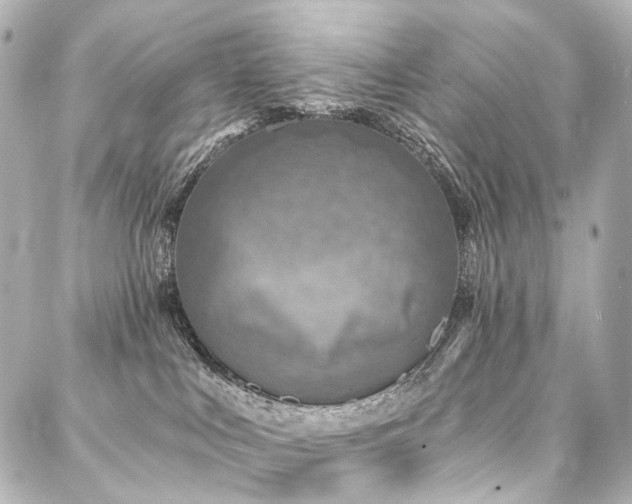 X0000088220043200705151424