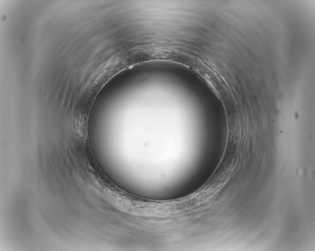 X0000088220044200705151424