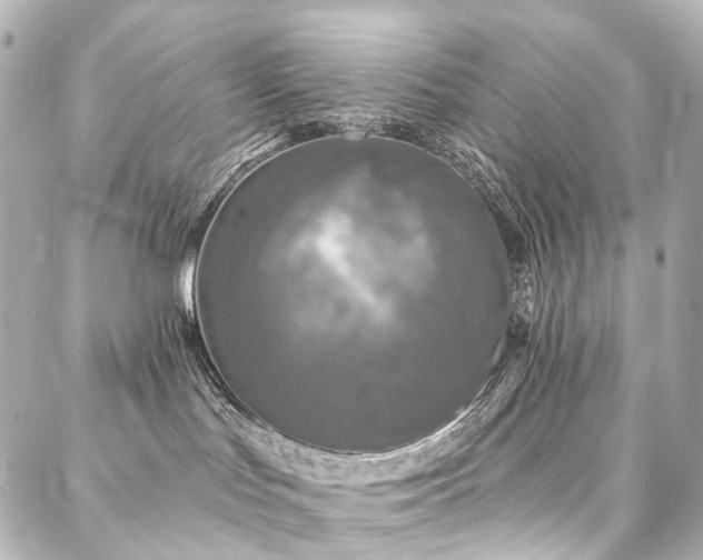 X0000088220047200705151424