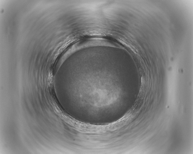 X0000088220048200705151424