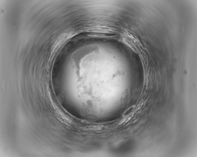 X0000088220049200705151423