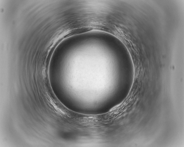 X0000088220050200705151423