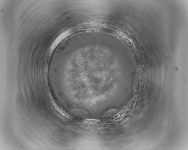 X0000088220051200705151423