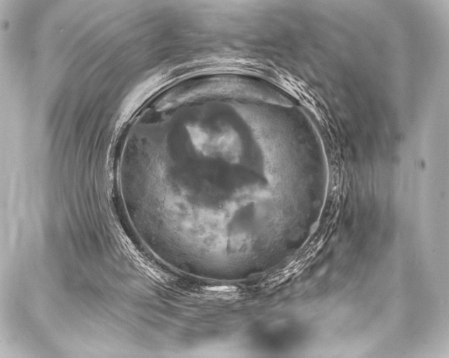 X0000088220053200705151423