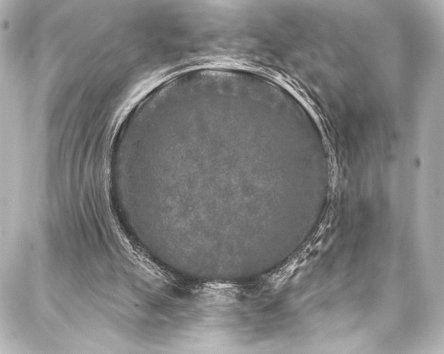 X0000088220055200705151423