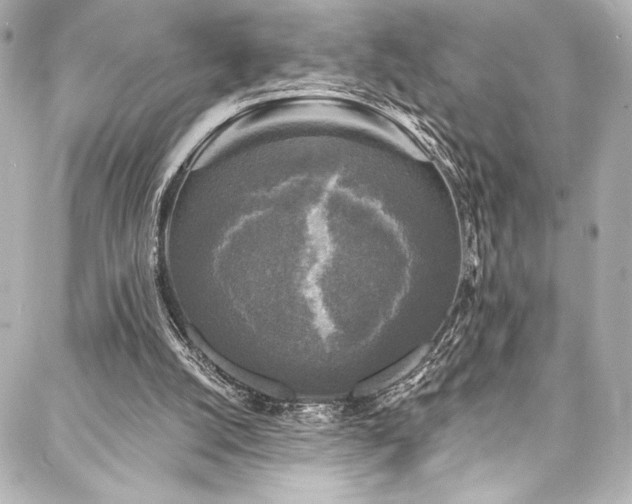 X0000088220056200705151423