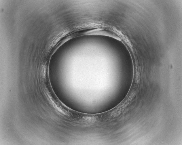 X0000088220057200705151423