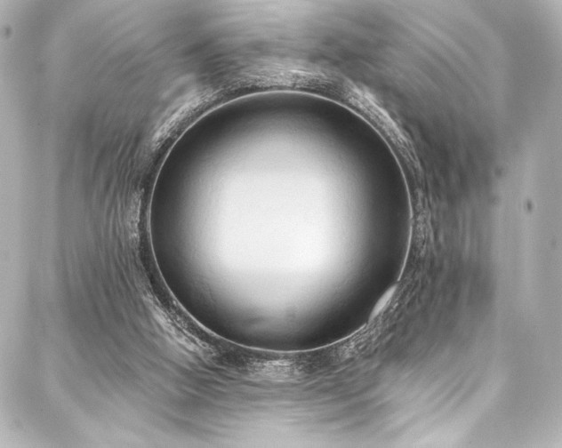 X0000088220058200705151423