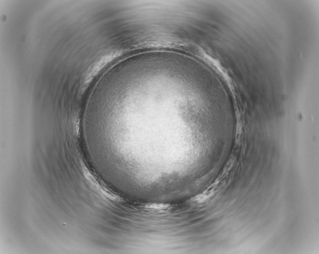 X0000088220060200705151424