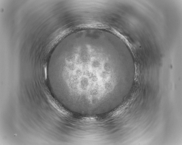 X0000088220061200705151424