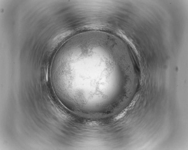 X0000088220062200705151424