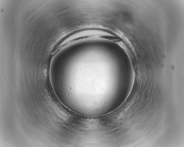 X0000088220063200705151424