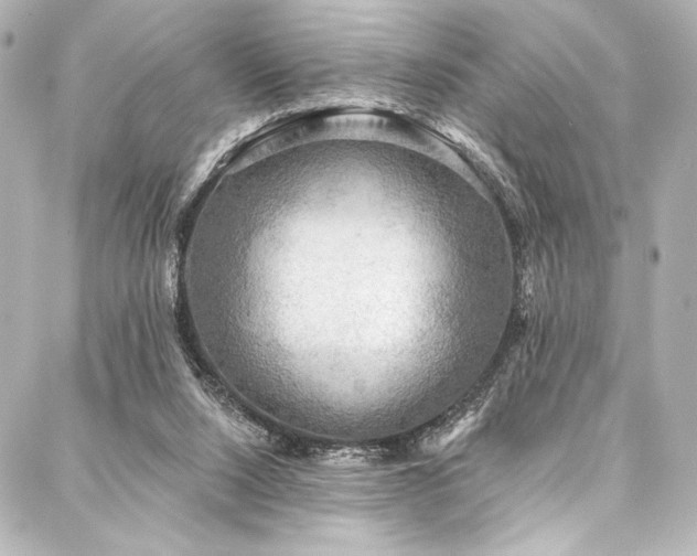 X0000088220064200705151424