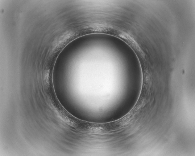 X0000088220066200705151424