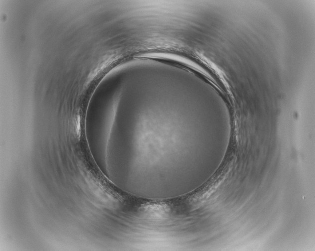 X0000088220067200705151424