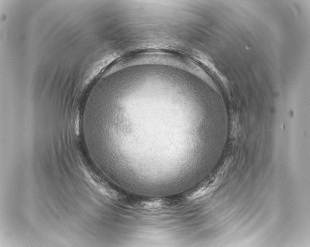 X0000088220068200705151424