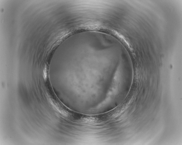 X0000088220069200705151424