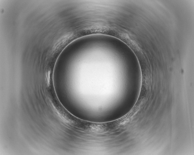 X0000088220070200705151424