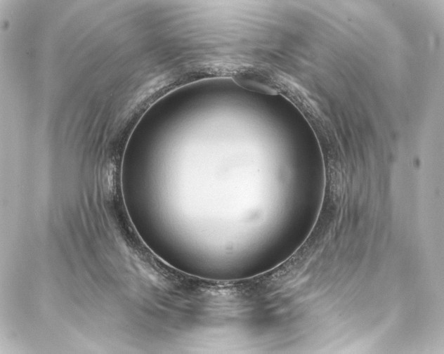 X0000088220071200705151424