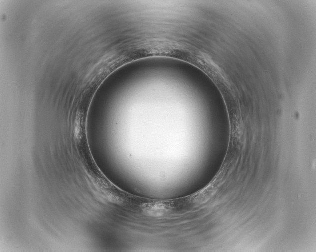 X0000088220074200705151424