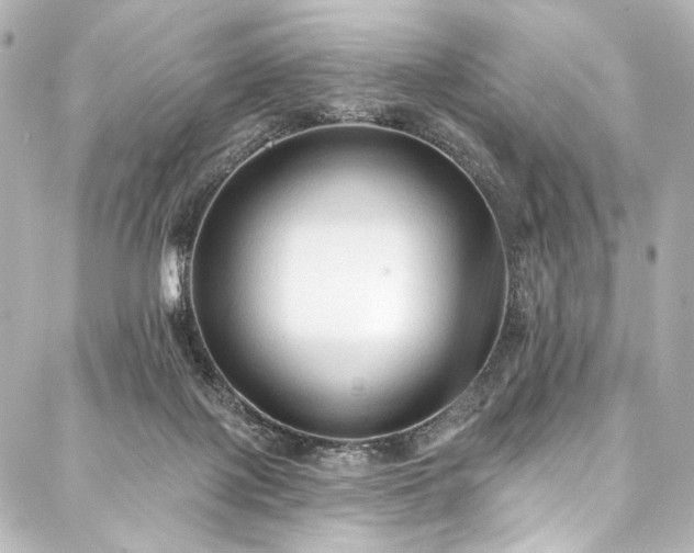 X0000088220075200705151424