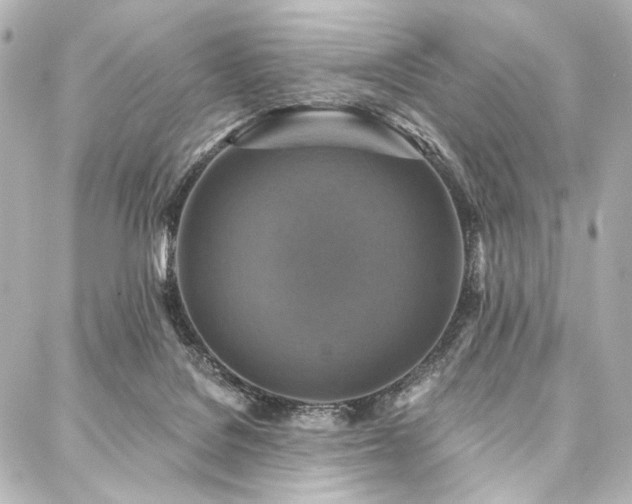 X0000088220076200705151424