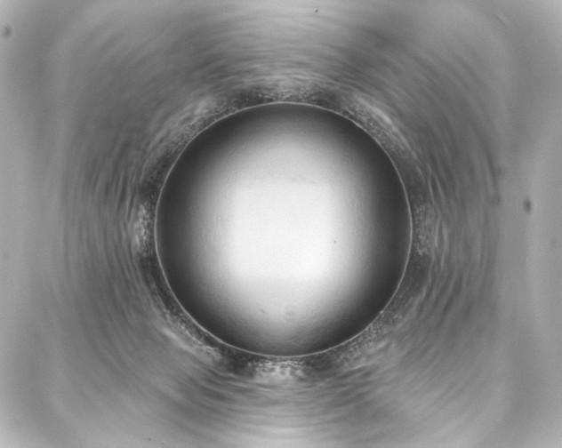 X0000088220077200705151424