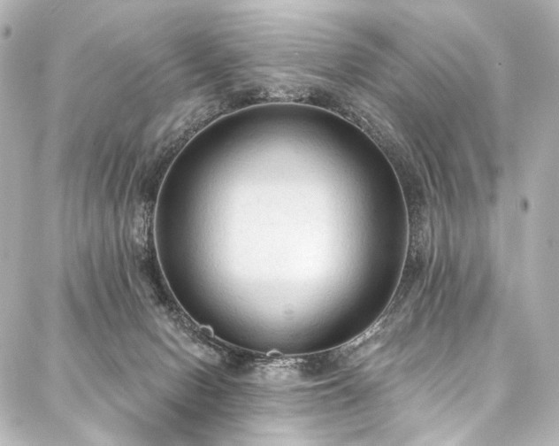 X0000088220078200705151424