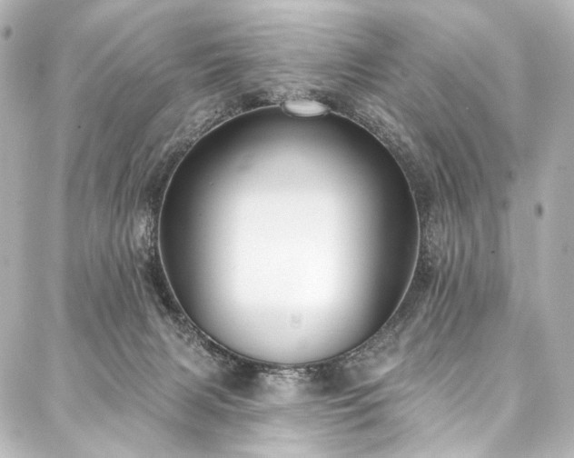 X0000088220079200705151424