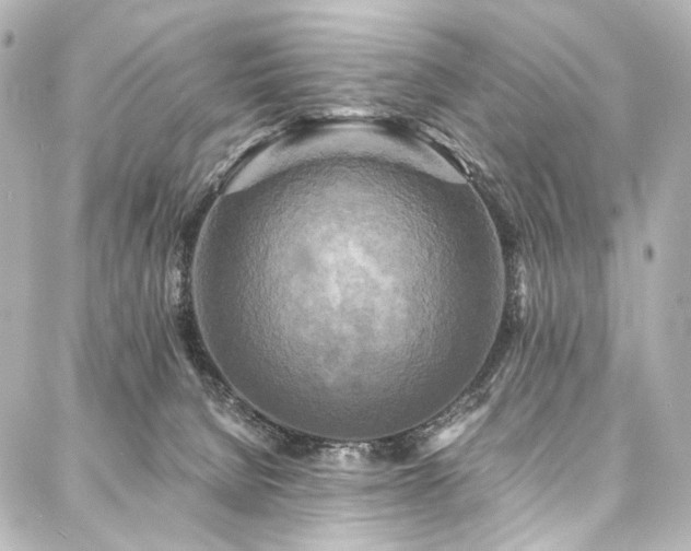 X0000088220080200705151424