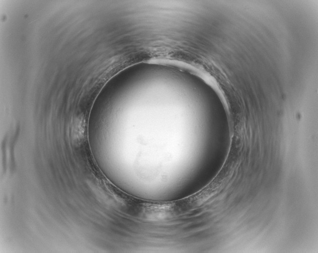 X0000088220081200705151424