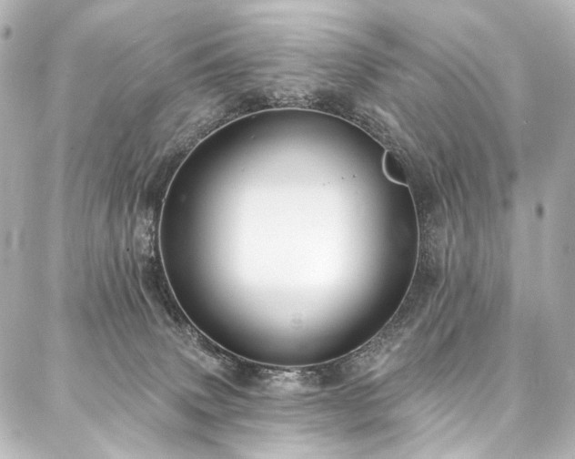 X0000088220083200705151424