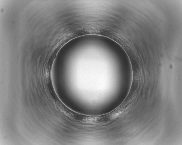 X0000088220084200705151424