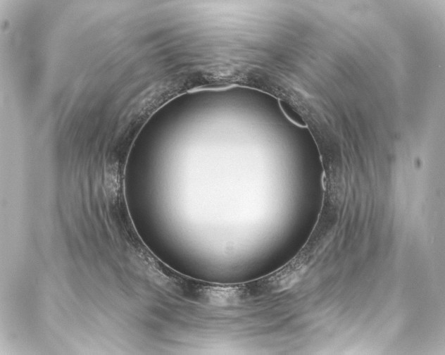 X0000088220085200705151424