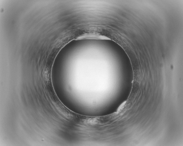 X0000088220086200705151424