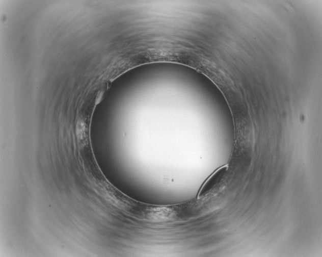 X0000088220087200705151424