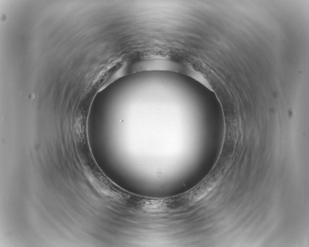 X0000088220088200705151424